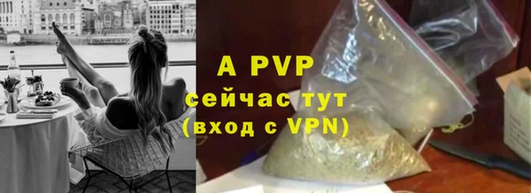 apvp Богданович