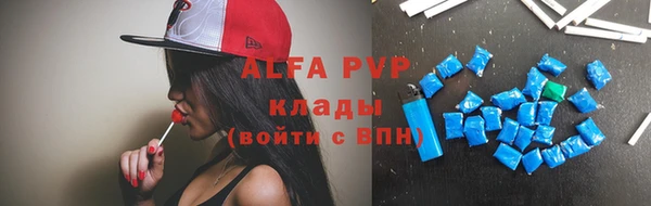 apvp Богданович