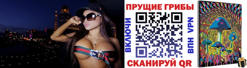 Галлюциногенные грибы Psilocybe Тотьма