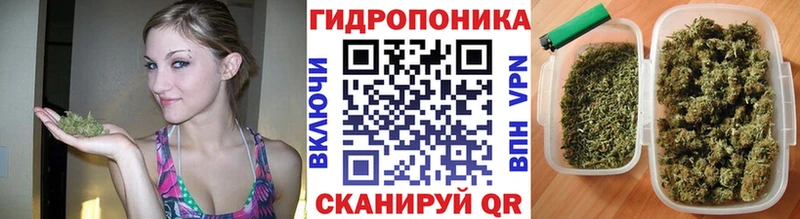 Канабис Ganja  закладка  Тотьма 